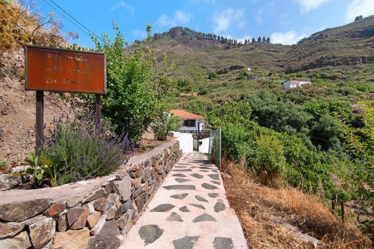 Casa Abuela Fela Villa Vega de San Mateo Dış mekan fotoğraf