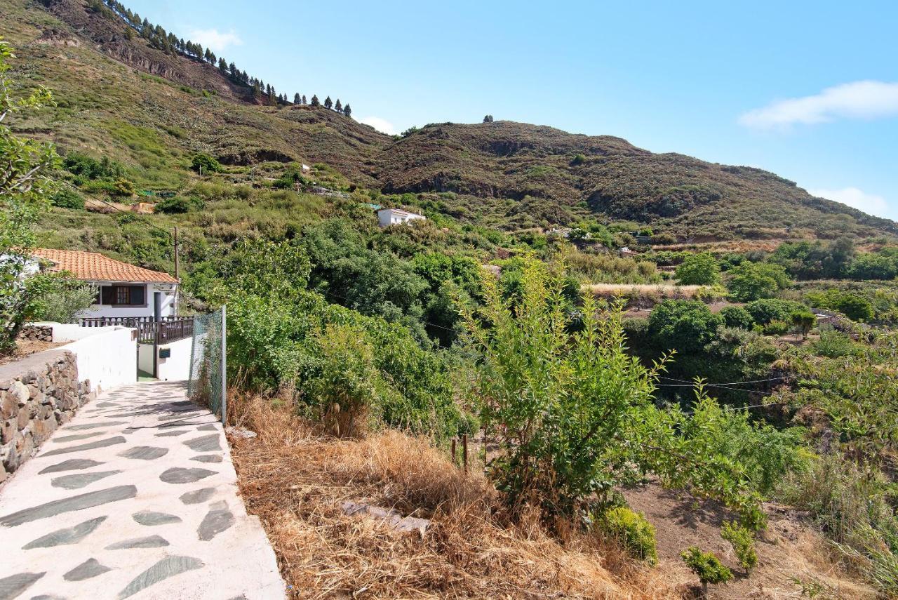 Casa Abuela Fela Villa Vega de San Mateo Dış mekan fotoğraf