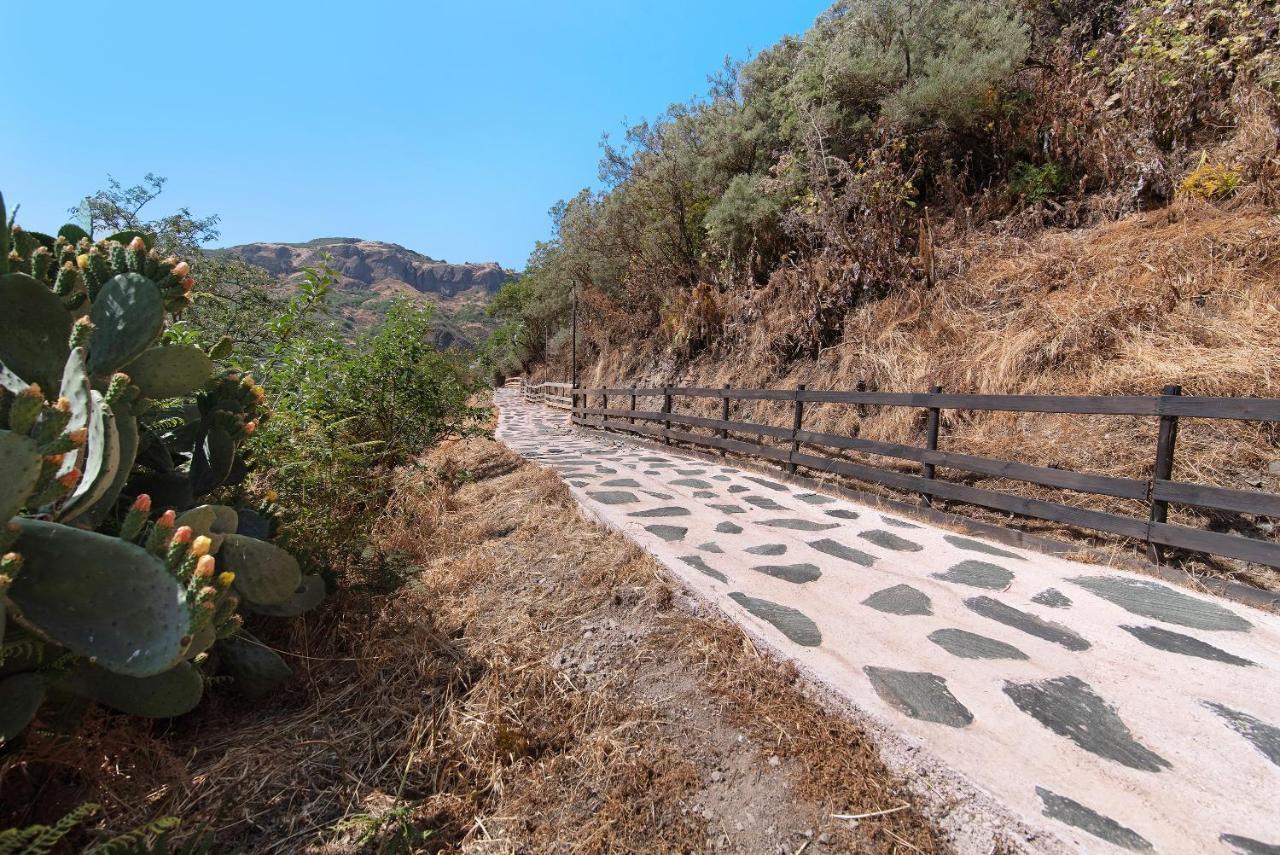 Casa Abuela Fela Villa Vega de San Mateo Dış mekan fotoğraf