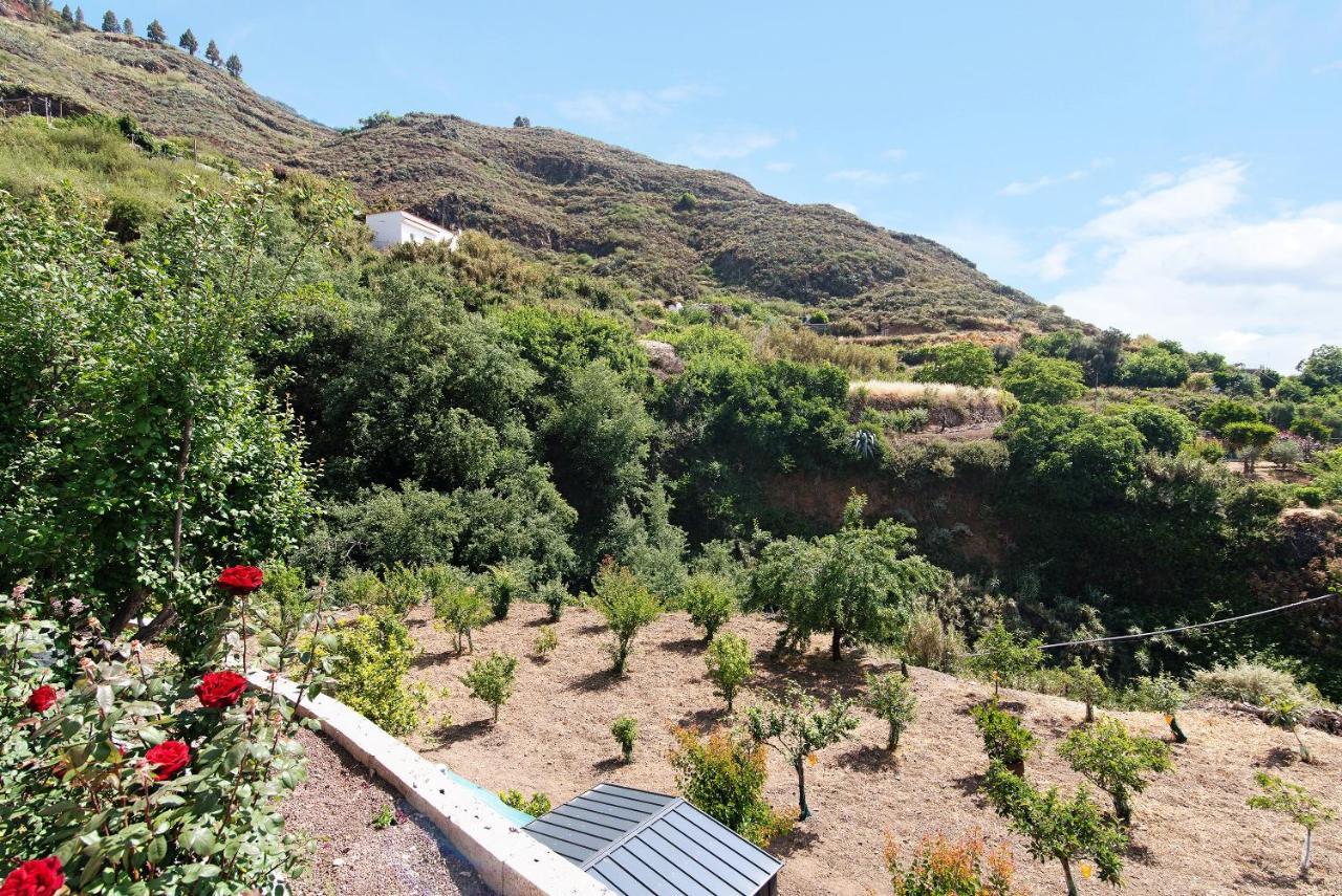 Casa Abuela Fela Villa Vega de San Mateo Dış mekan fotoğraf